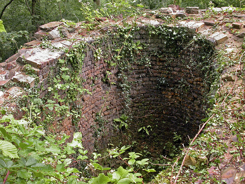 Stepaside limekiln 1
